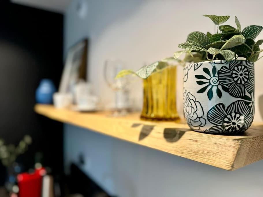 Art & Sunski Studio Z Garazem Podziemnym Krynica Zdroj Eksteriør bilde